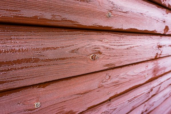 Cedar Siding Cleaning in Greenville