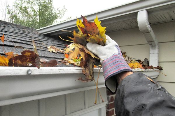 Eaves Cleaning in Greenville
