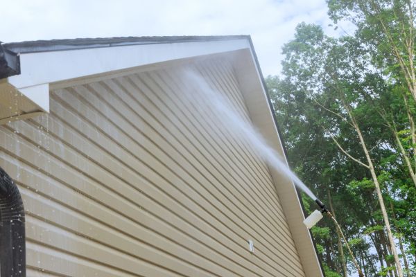 Siding Cleaning Service in Greenville
